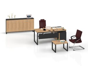 FLORİ ÇALIŞMA MASASI